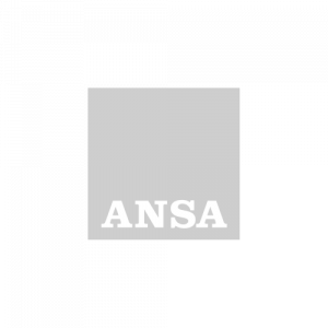 ANSA-300x300